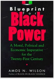 Blueprint for Black Power: A Moral, Political, and Economic Imperative for the Twenty-First Century