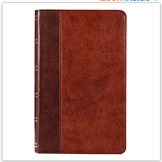 KJV Holy Bible, Giant Print Standard Size, Two-tone Brown Faux Leather w/Ribbon Marker, Red Letter, King James Version