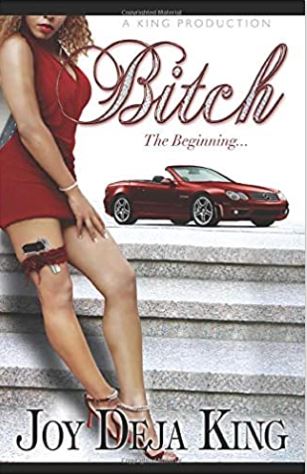 Bitch The Beginning (Bitch Series)
