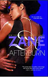 Afterburn: A Novel
