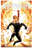 BLACK PANTHER: A NATION UNDER OUR FEET, BOOK 2 ( BLACK PANTHER )