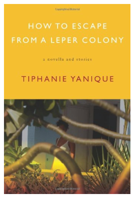 HOW TO ESCAPE FROM A LEPER COLONY: A NOVELLA AND OTHER STORIES