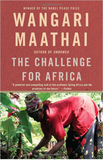 THE CHALLENGE FOR AFRICA (PB)