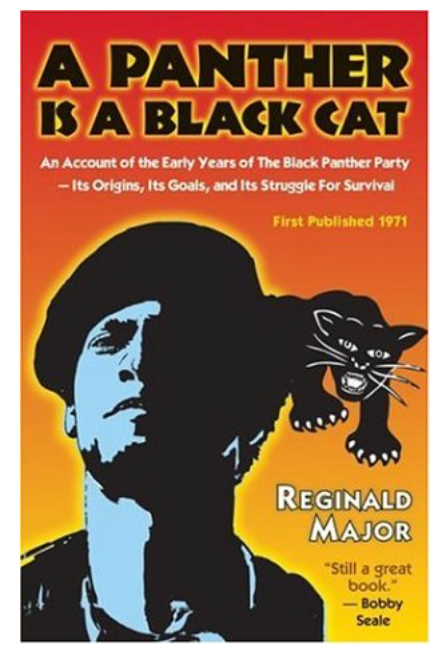 A PANTHER IS A BLACK CAT: AN ACCOUNT OF THE EARLY YEARS OF THE BLACK PANTHER PARTY - ITS ORIGINS, ITS GOALS, AND ITS STRUGGLE FOR SURVIVAL