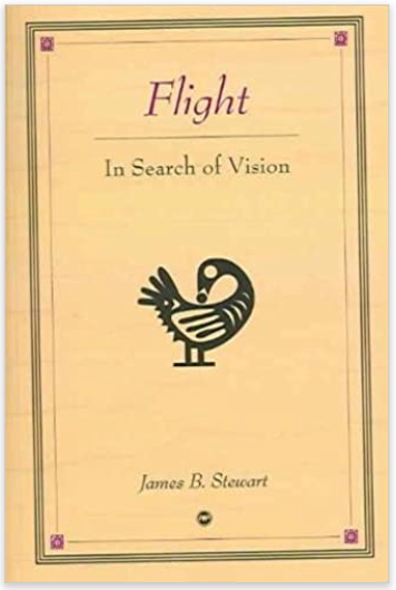FLIGHT: IN SEARCH OF VISION