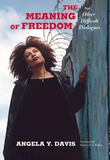 The Meaning of Freedom: And Other Difficult Dialogues (City Lights Open Media)